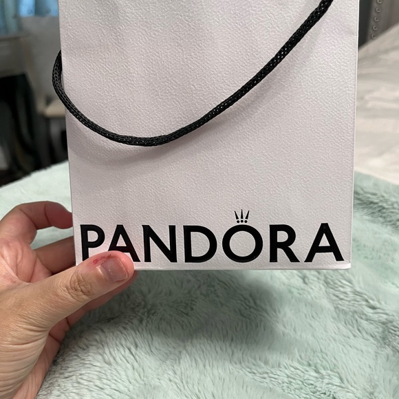 Pandora Bag - Picture 2 of 2